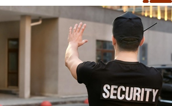  Regulating Practice of Private Security Services